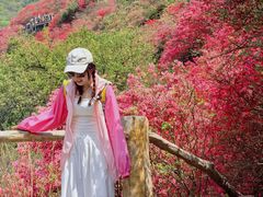 -木兰云雾山