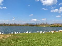 -呈贡滇池生态湿地公园