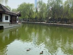 -团结湖公园