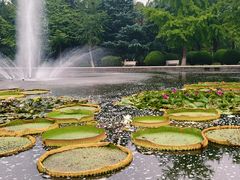 -石家庄市植物园