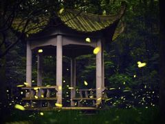 -灵谷景区