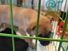 -万达广场(龙湖店)