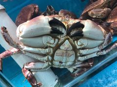 -港畔赶海蒸汽海鲜烧烤自助(仙螺岛店)
