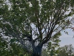 -白沙门生态公园