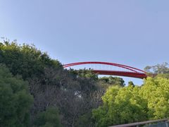 -金鸡山公园