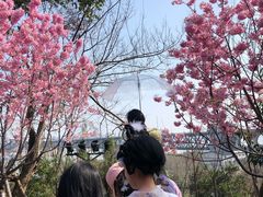 -龟山风景区-龟山电视塔