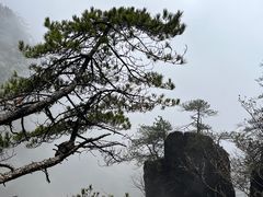 -明月山风景名胜区