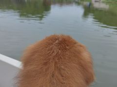 -美兰湖景区