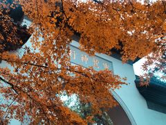 -灵隐飞来峰景区