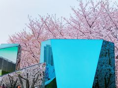 -龙美术馆(西岸馆)