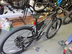 -道路口单车爱瓦士dahon大行