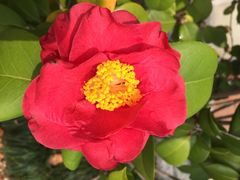iphone_upload_pic-杭州世外桃源君澜度假酒店