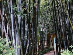 -烈士陵园(地铁站)
