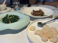 水晶虾仁-申粤轩酒楼·三十年粤菜经典(丁香花园店)