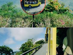 -亚龙湾热带天堂森林公园