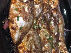 -食家鸽园