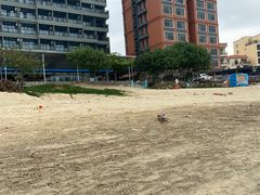 -那琴半岛地质海洋公园