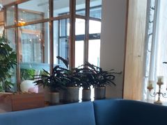 -荷恬·精致蔬食料理(富国街店)