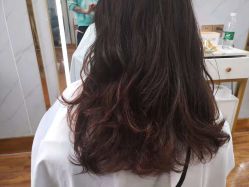 -Z.F私人订制