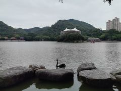 -珠海圆明新园