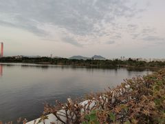 -厦门园林博览苑
