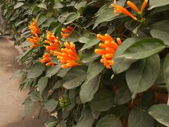 -福州市仓山小学