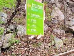 -大岭沟猕猴桃谷风景区