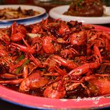 江湖菜盛宴，老地方饺子馆棒棒哒！
