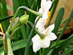 -共青国家森林公园-售票处