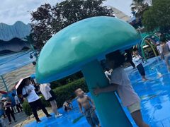 -海合安武汉极地海洋公园