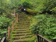 -天女山森林公园