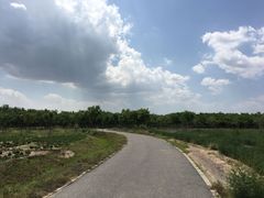 -西青郊野公园