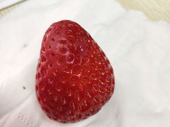 -艾薯夫妇Aysh(福田星河COCOPark店)