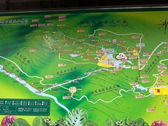 -呀诺达热带雨林