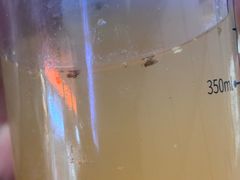 -胡仕光陵水酸粉