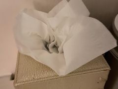 -上海漕河泾万丽酒店