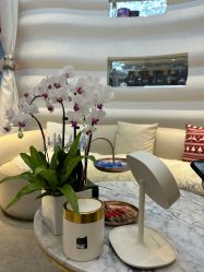 -洁铭新加坡医美