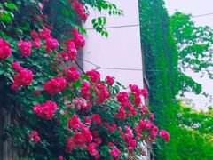 -老门东历史文化街区