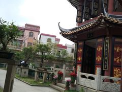-碧江金楼