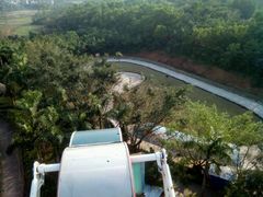 -广东茂名森林公园