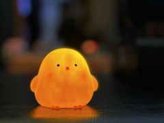 -同仁四季椰子鸡(福田车公庙店)