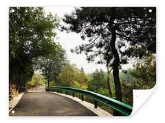 -白水寺森林公园