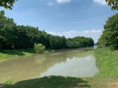 -上海海湾国家森林公园