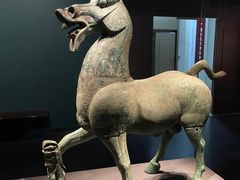 -广西壮族自治区博物馆