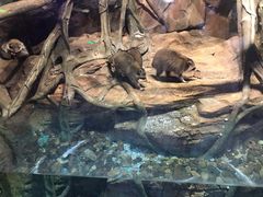 -波塞冬旅游度假区