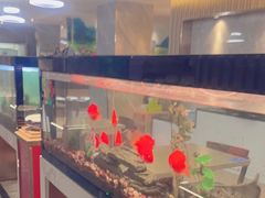 -水立方国际汤泉(六一中路店)