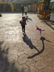 -宝燕乐园(闵行旗舰店)