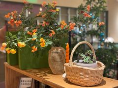 -笠小妹越南粉(新城科技园店)