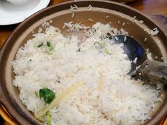 -饭怕鱼(阳光100店)