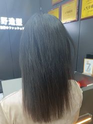 -藤野造型